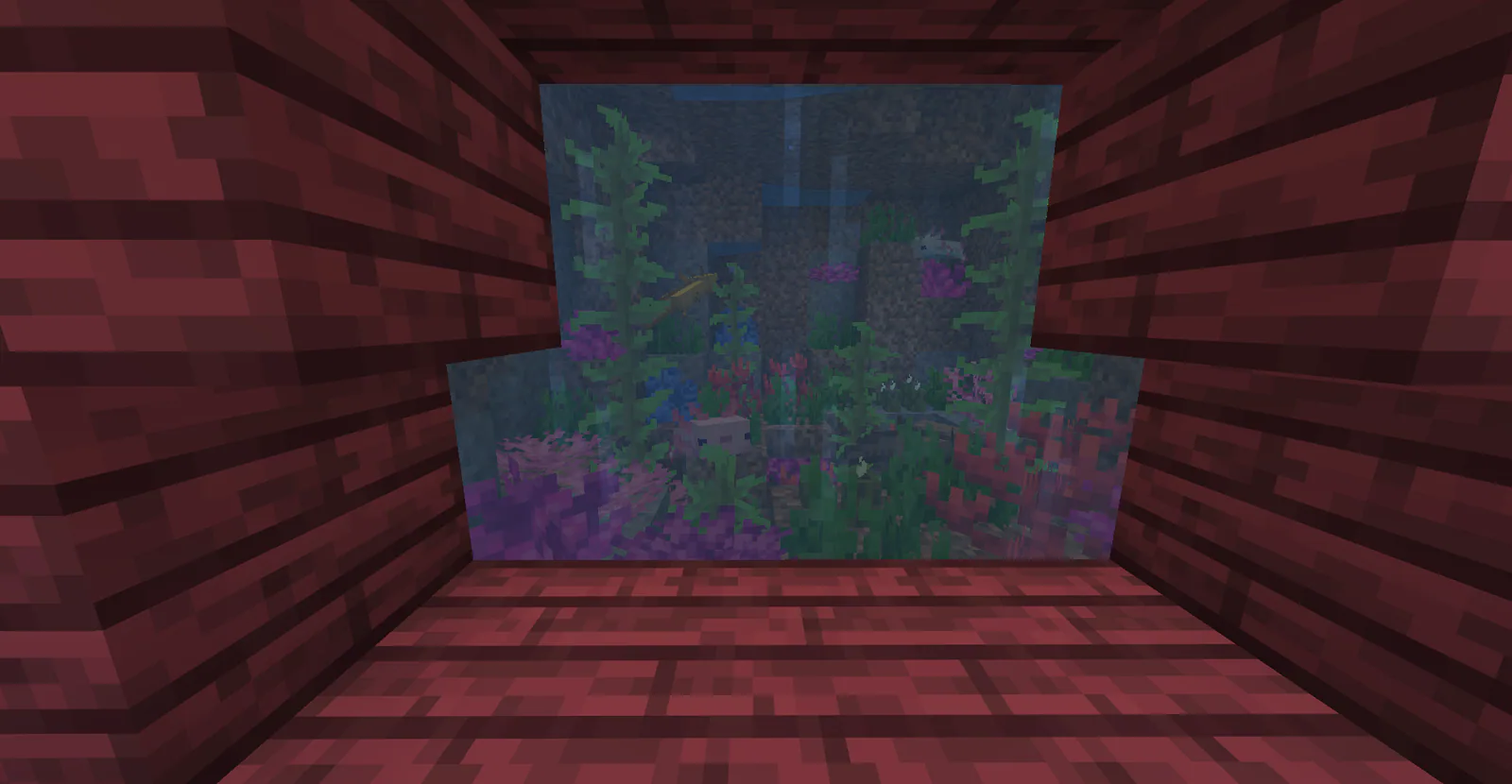 Axolotl Aquarium 1785794478439 Optimized