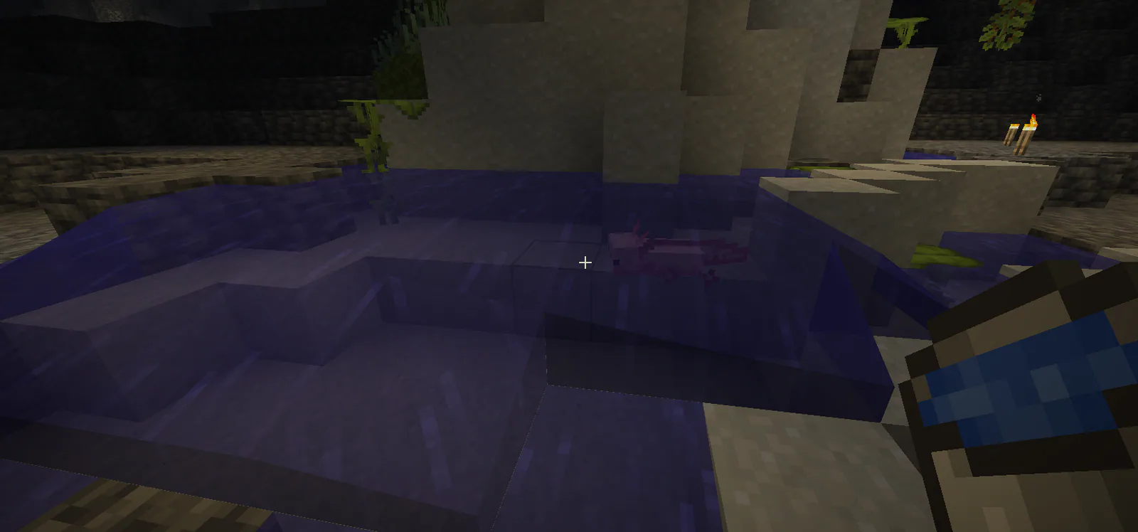Axolotl Catch 1785794444750 Optimized