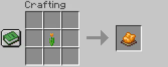 Dye Orange 1787753715372