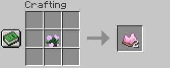 Dye Pink 1787753881149