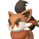 Pal Pupperai 1784228894994 Optimized