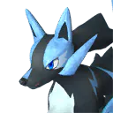 Pal Rayhound Cryst 1784655691609 Optimized