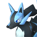 Pal Rayhound Cryst 1784655691609