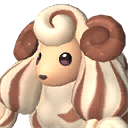Pal Woolipop Terra 1784229638221