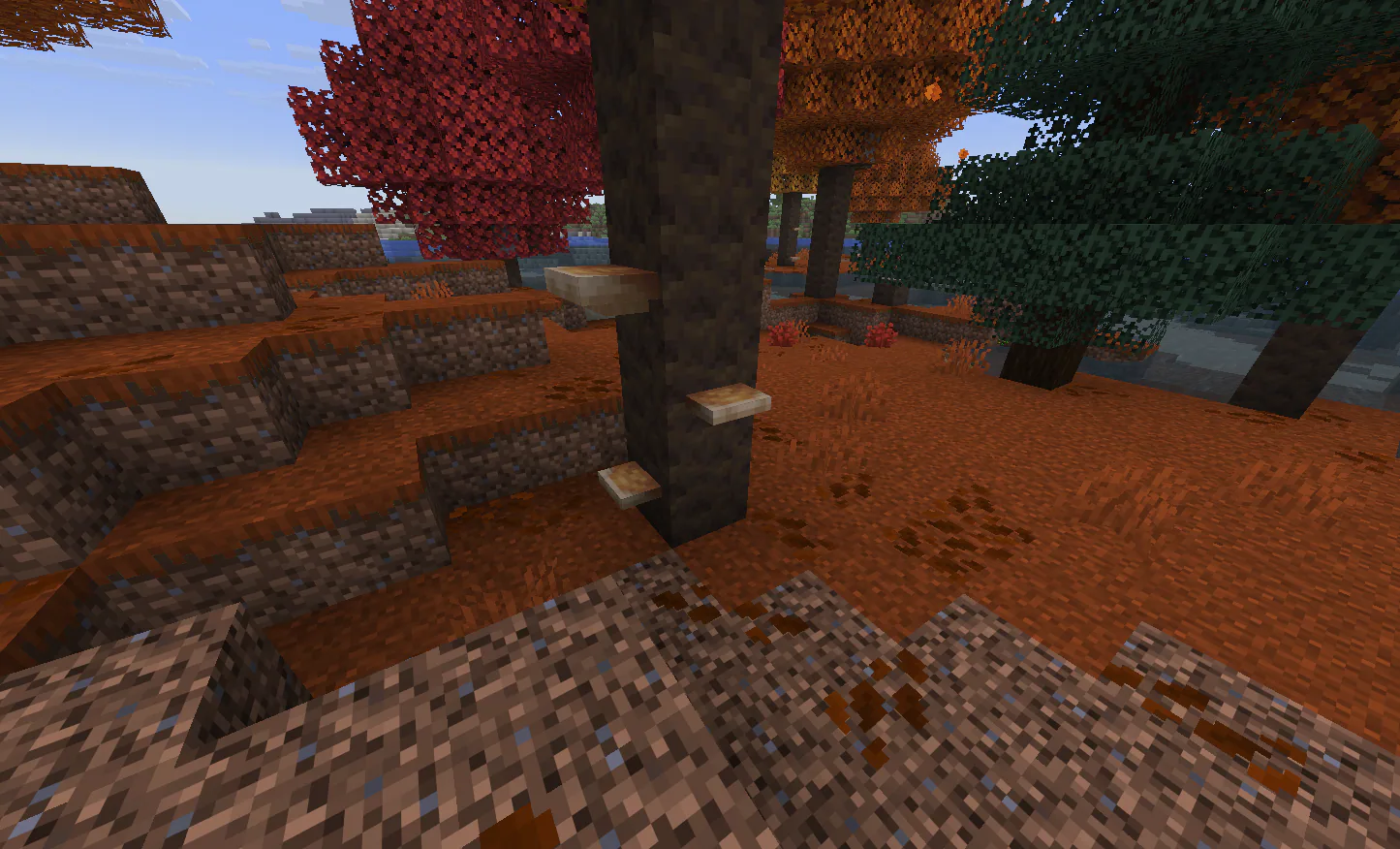 Shelf Mushroom 1786474112172