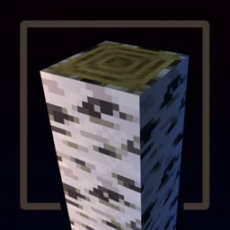 Spooky Birch 1792810620563