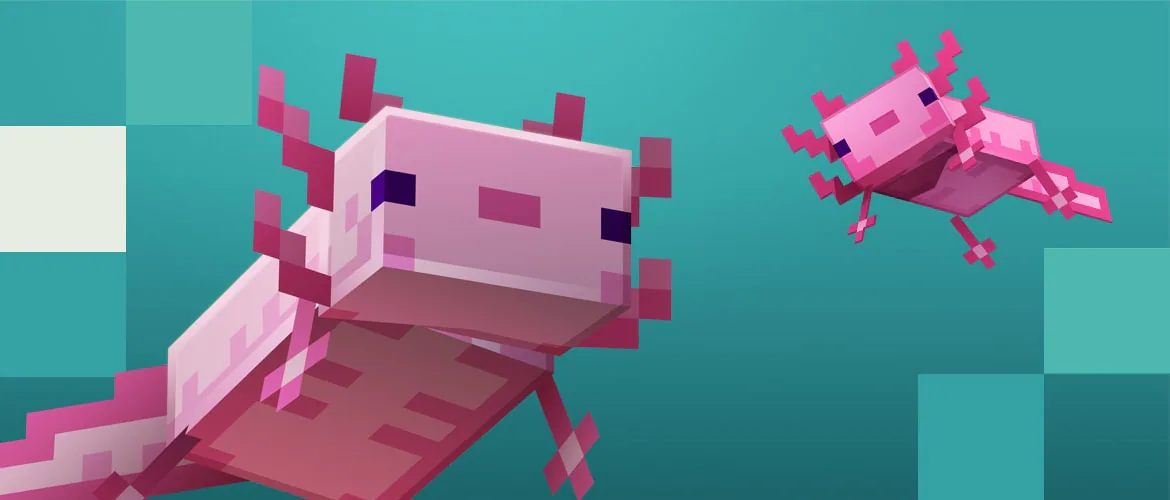 How to Catch an Axolotl in Minecraft